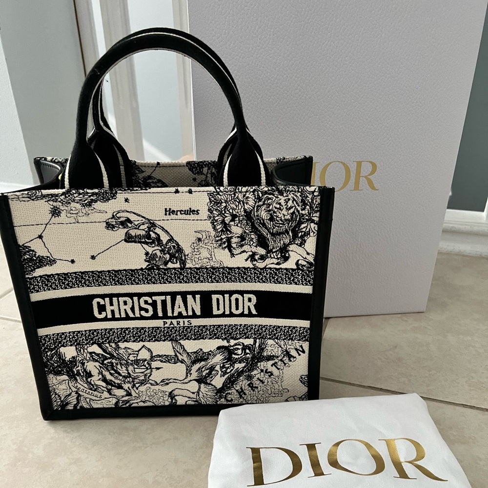 Small Dior Book Tote 2024